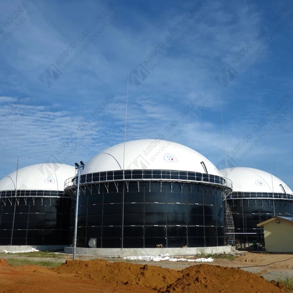 BIOGAZ крыши для biodigester фабрики отходов Биогазовая