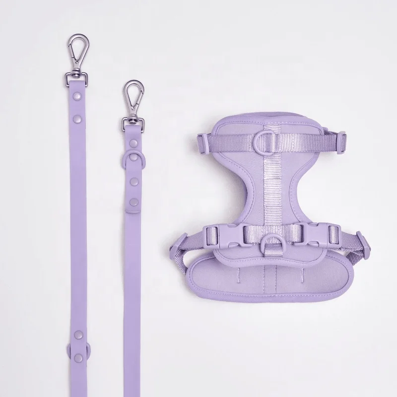 2023 Hot Selling Factory Wholesale Custom Logo PVC Soft Hunting Waterproof small pet Dog Collar And Leash Harness Set