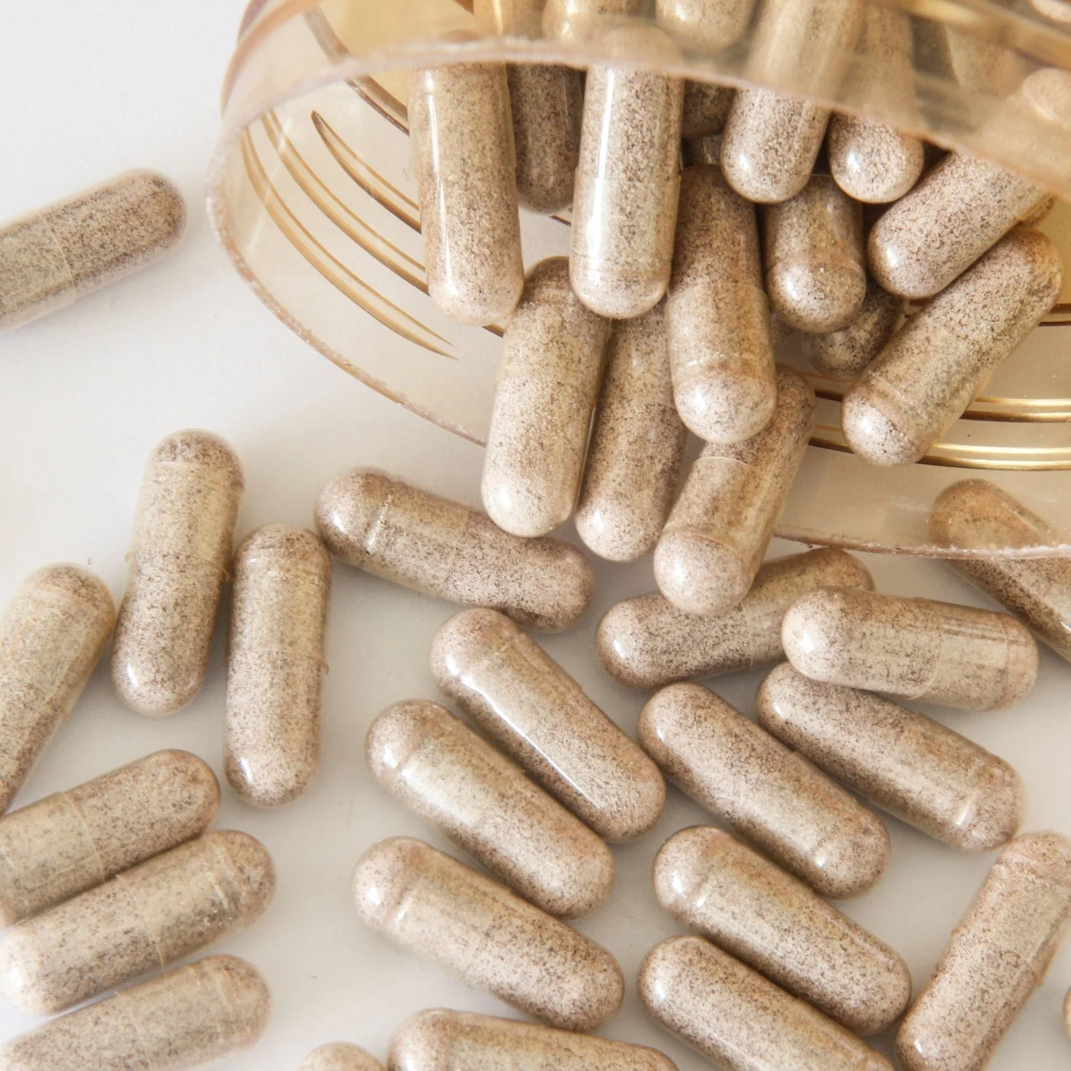 Lions Mane Capsules Organic Lions Mane Mushroom Extract for Brain Support and Immune Health