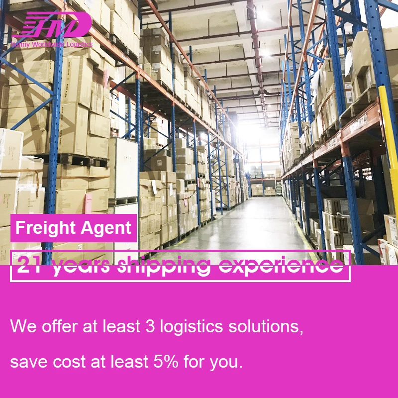 Swwls LCL sea freight from china to Netherlands shipping agent door to door