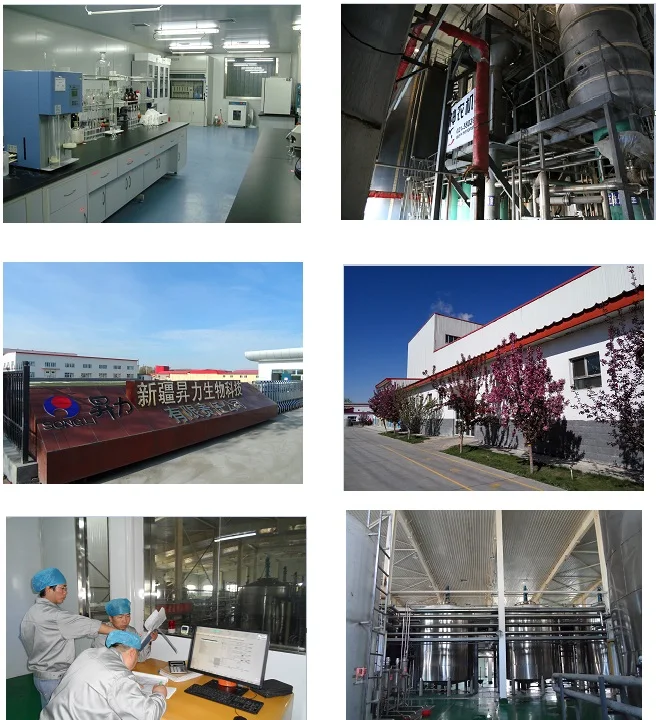 China factory Alcohol Yeast wine yeast for win fruit brewer yeast