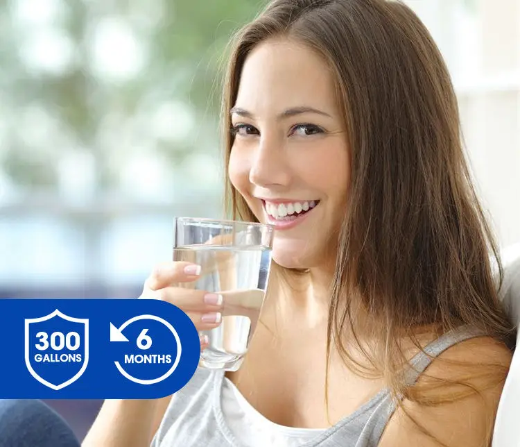 NSF Certification Water Refrigerator Filter Compatible with Band GE RPWF, RWF1063 , WDS-RPWF, Refrigerator Water Filter for WQA