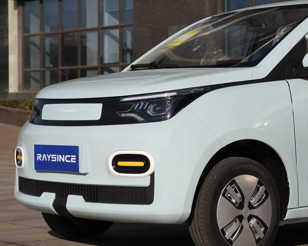 Raysince High Speed Electric Car for Adults