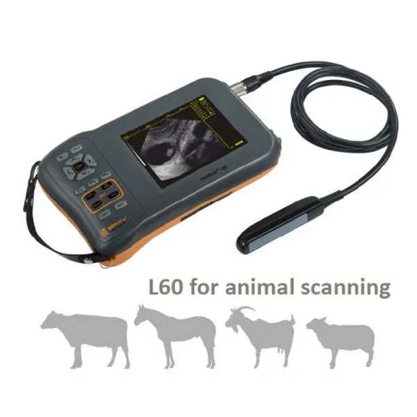 BMV Farmscan L60 свинья крупный рогатый скот коровы бычьи беременные ветеринарное оборудование для крупных животных