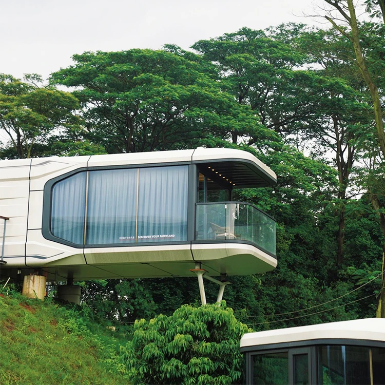 Prefab Luxury Tiny Capsule Home with Kitchen and Bathroom