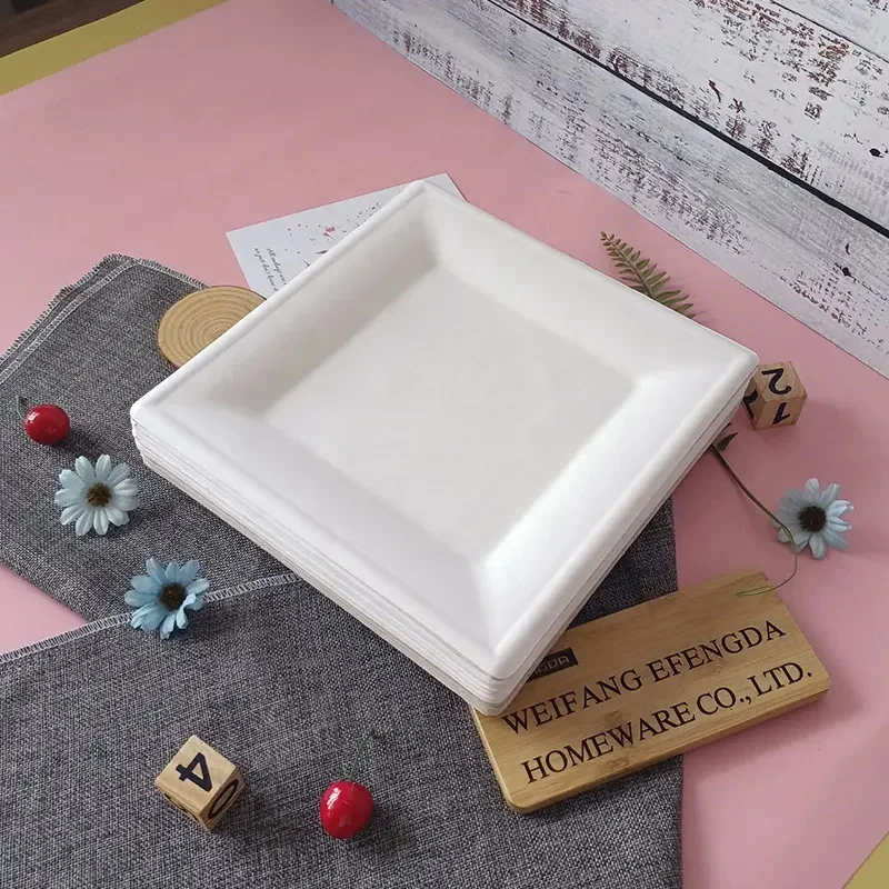 Zero Waste Natural Color Water Resistant Disposable Biodegradable Square 10 Inch Food Plate