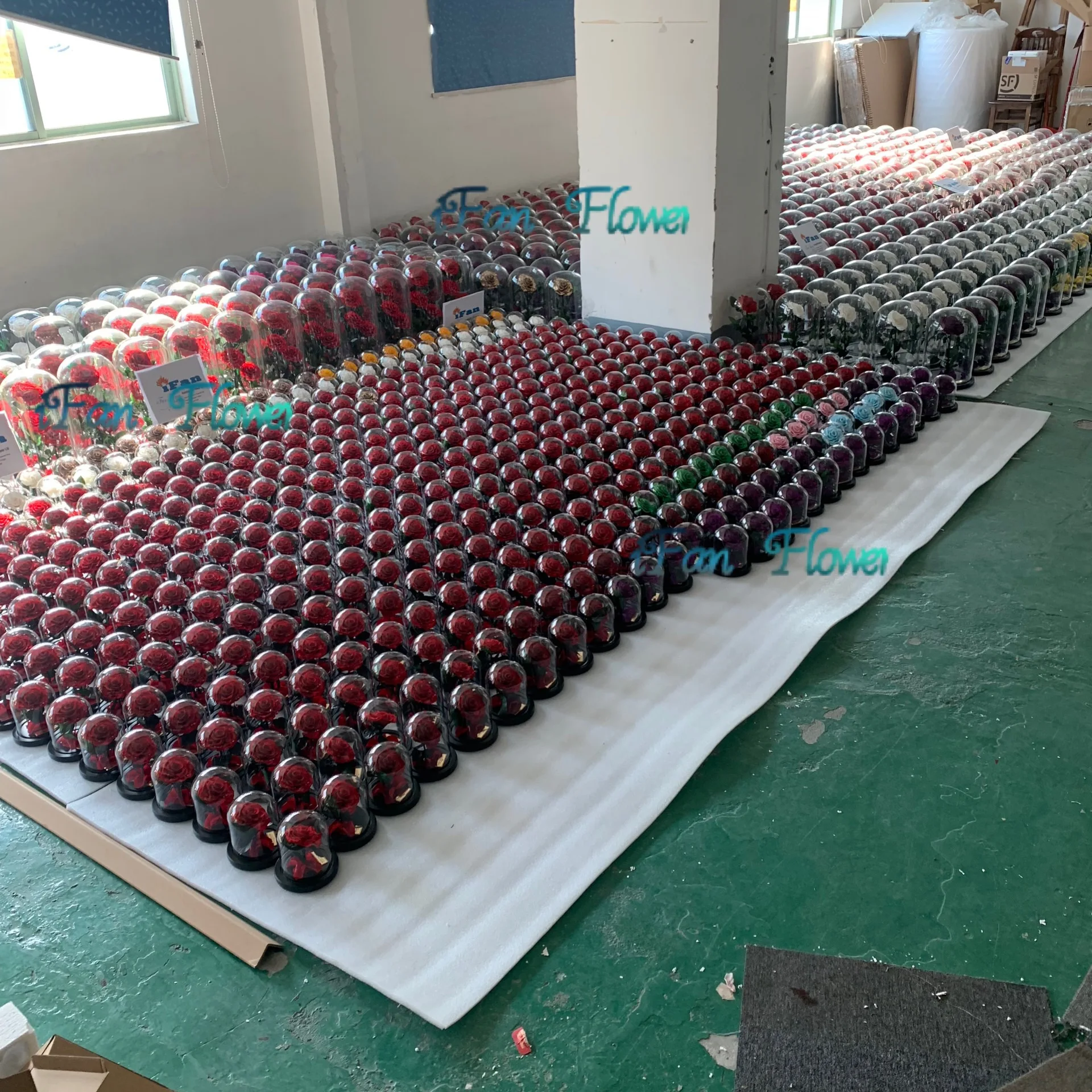 wholesale preserved roses flower in glass dome for national holiday gift fresh cut rose flower