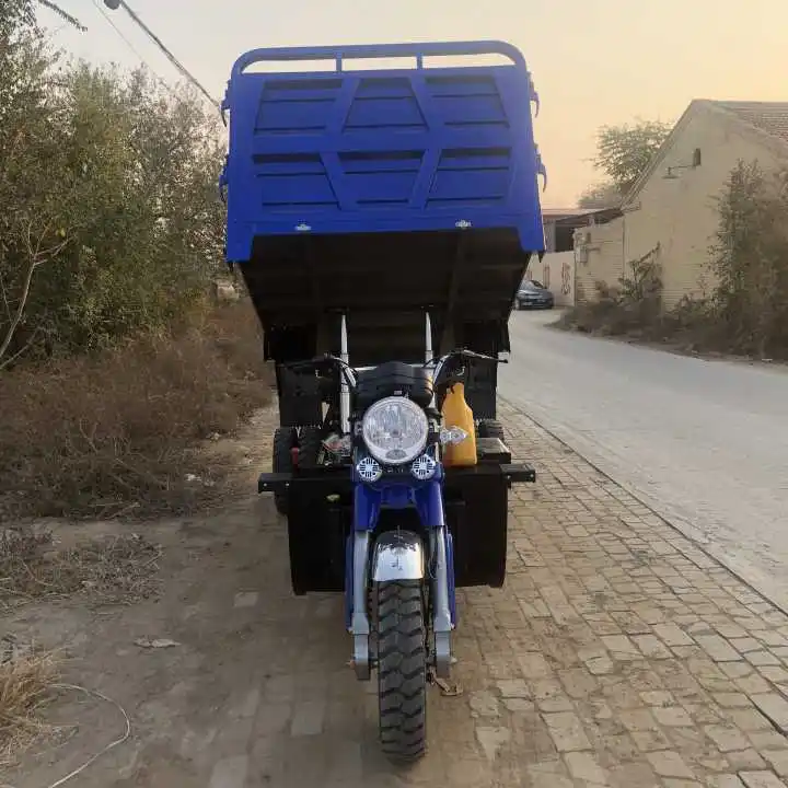 Новый стиль 300cc трехколесный мотоцикл пассажирский и грузовой топливный бензин
