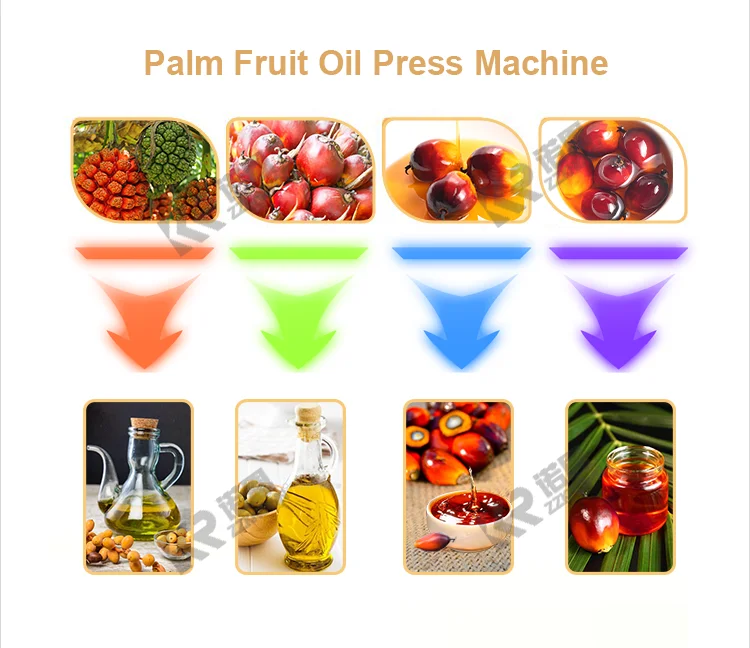 OEM Multifunctional Palm Oil Press Machine Automatic Palm Fruit Processing Machine Palm Oil Refinery Machine