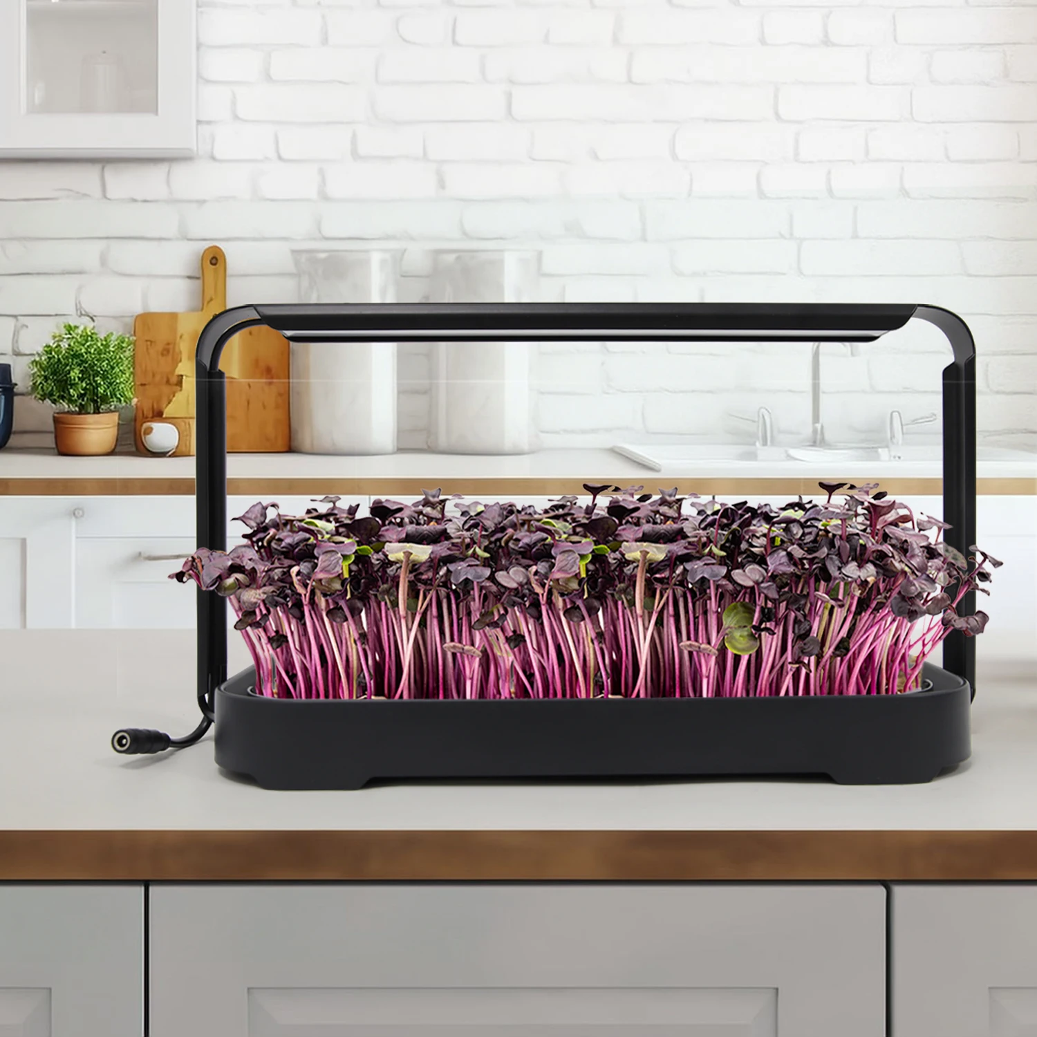 Automatic timer indoor herb seedling planter garden microgreen hydroponics growing system kit with led grow light