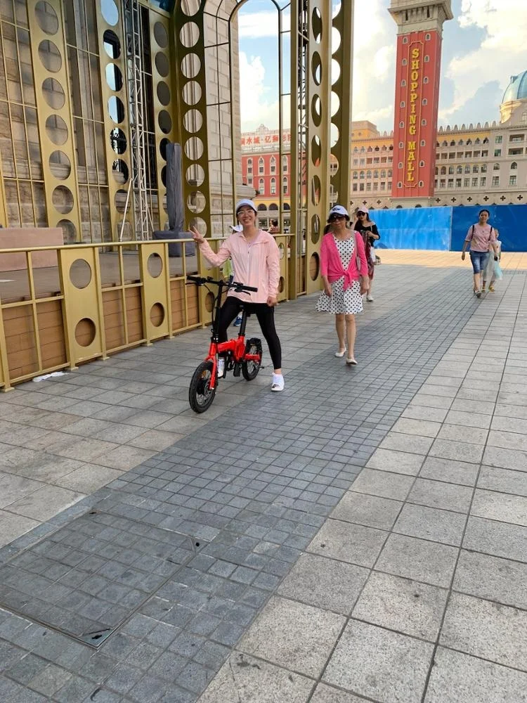 Red electrique bikes/ 16 inch electric cycles with rechargeable battery manufactured in china