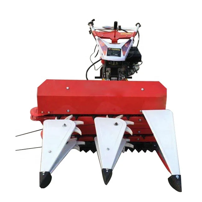 Large capacity wheat harvester