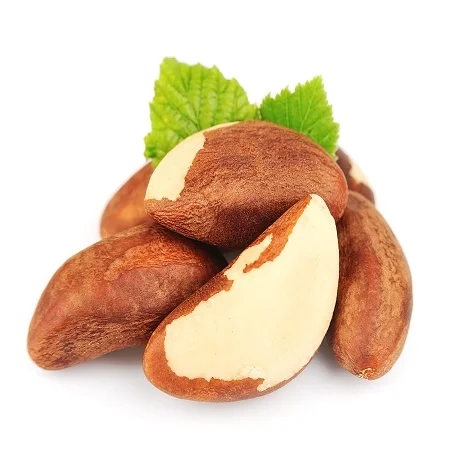Fresh Brazil Nuts Bulk /Raw Brazilian Nuts Wholesale