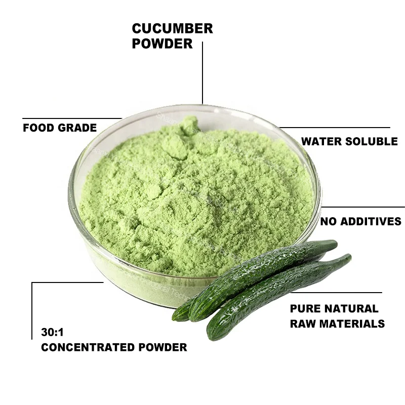 Certified Factory Cucumber Powder Instant Organic Cucumber Juice Concentrate Extract Powder