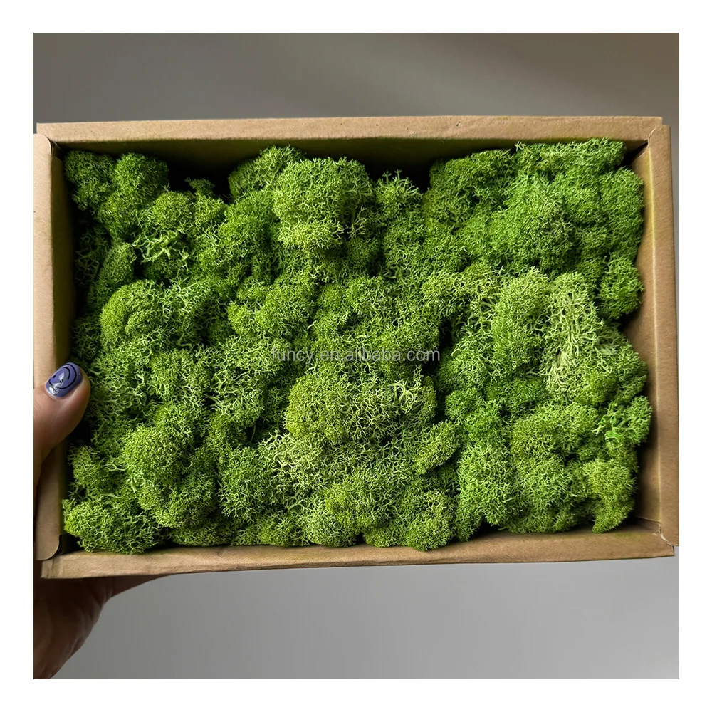 200g Customized  Luxury Office Home Decoration Green Real Natural Art Stabilize stabilized Reindeer Wall moss
