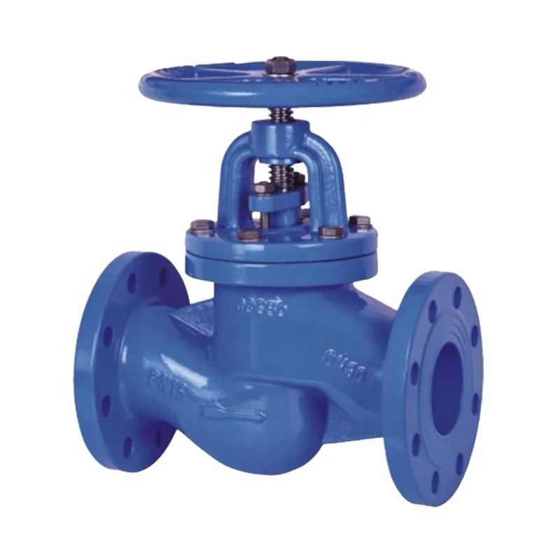 Flange End S Pattern Globe Valve