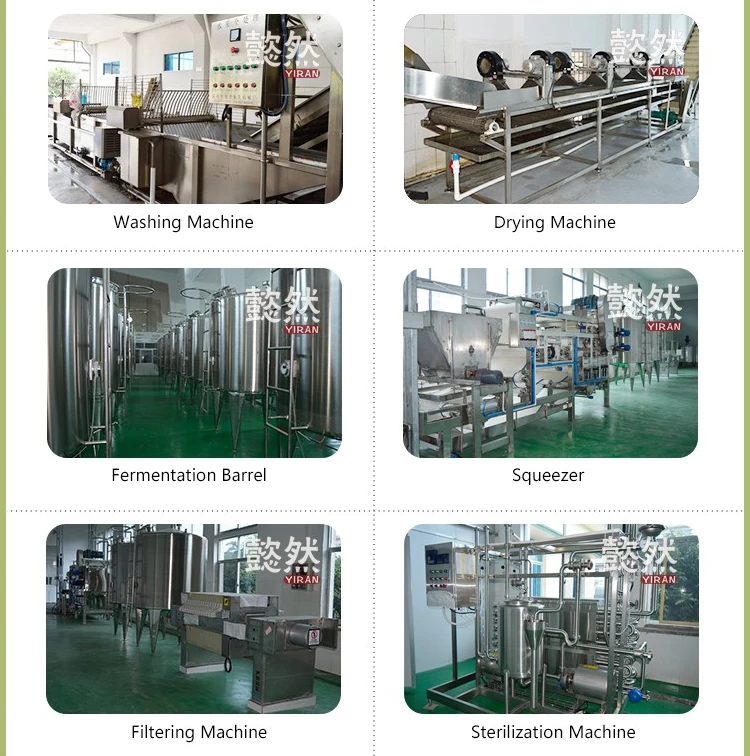 China supplier export bulk wholesale health detox dried fruit for tea