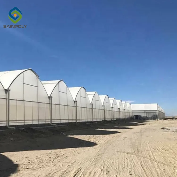 Professional Large Multi functional Agriculture Multi-Span Tomato Hydroponics Tunnel Film Greenhouse
