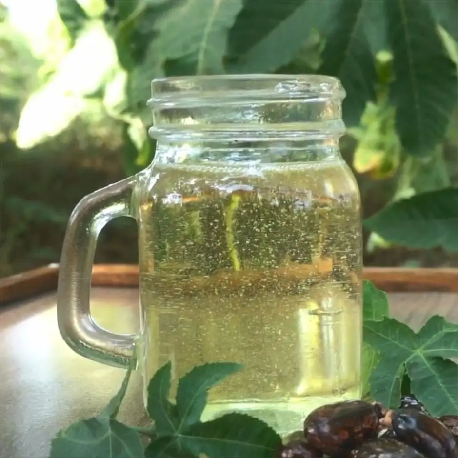 HL - Cold Pressed Carrier Oils Golden Supplier, Bulk Price 1Kg Organic Castor Oil For Face, Hair Growth, Skin, Eyelashes, ETC...