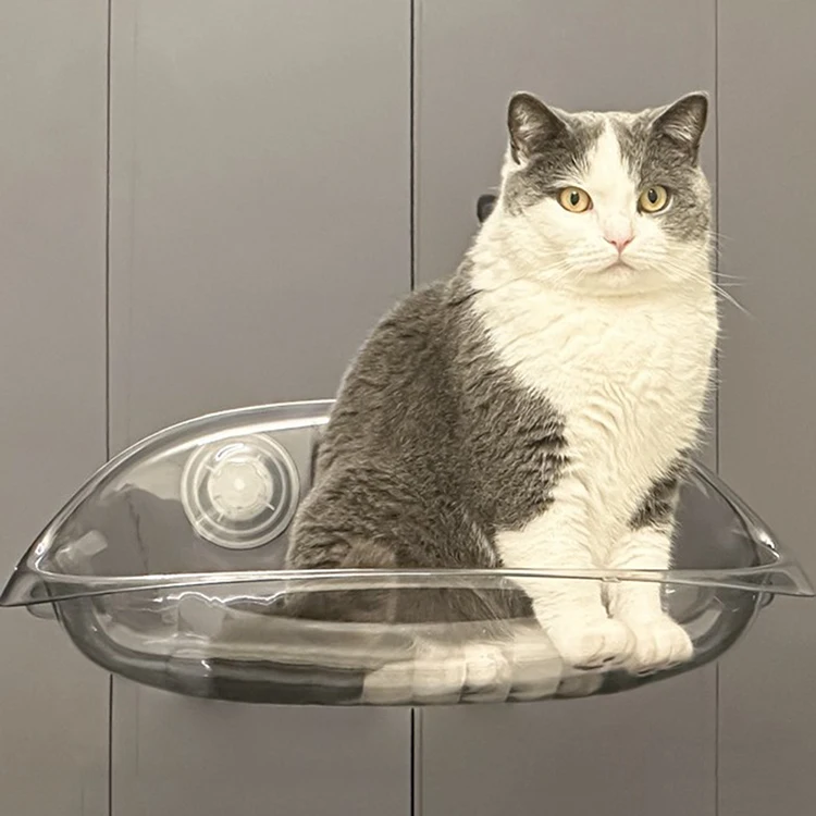 Clear Cordless Cat Window Perch Hammock Bed With Iron frame Bed Cat Shelves And Perches Seat   For Cat Sunbathing