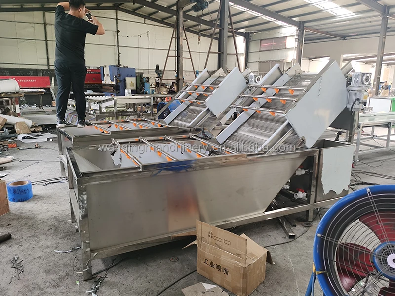 Stainless Steel Special cleaning machine for mulberry leaves Vegetable Algae Chili Onion Potato Cleaning Machine