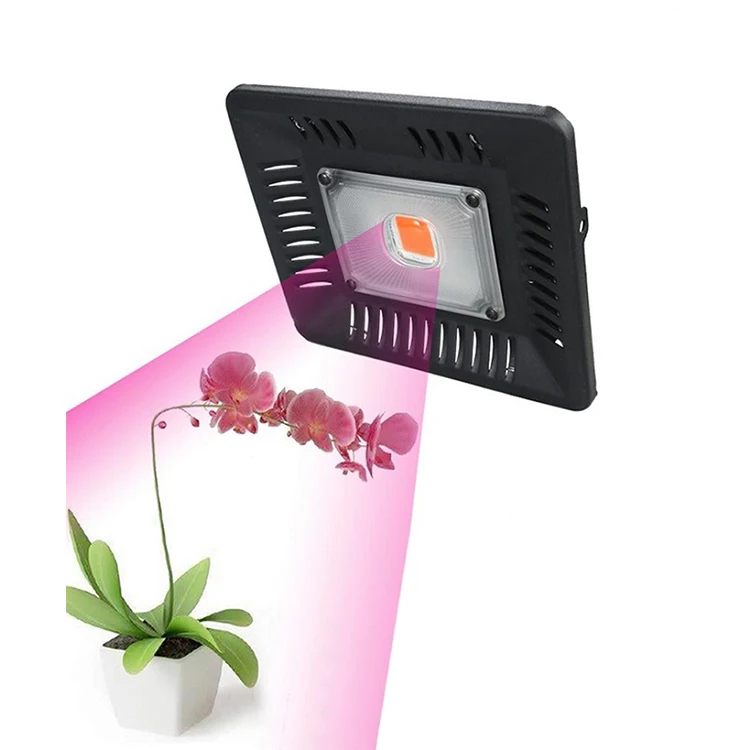 50W floodlight LED ultra-thin full spectrum COB plant growth lamp Vegetable melon fruit flower greenhouse fill light