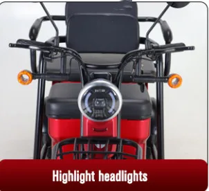 Electric Tricycle with Fashion Apperance 3 Wheel scooter for Adult Use