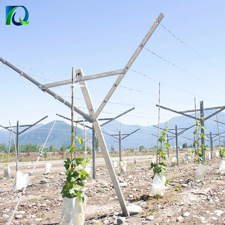 Y-Shaped Black or Hot dipped galvanized Steel Grape Open Gable Trellis System with Full Accessories