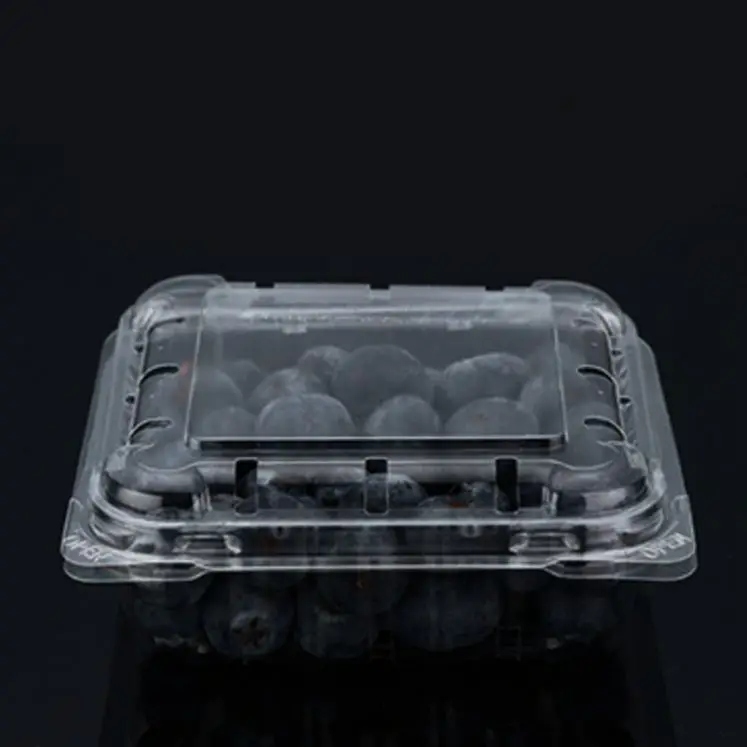 100% Food Grade Biodegradable Disposable Pla Salad Bowl