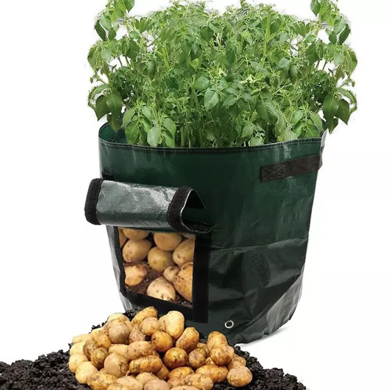 RTS Wholesale Black Dark Green PE Grow Bags Strawberry 7 10 Gallon Rhizomes Plant Bags Vegetable Potato Planting Grow Bags