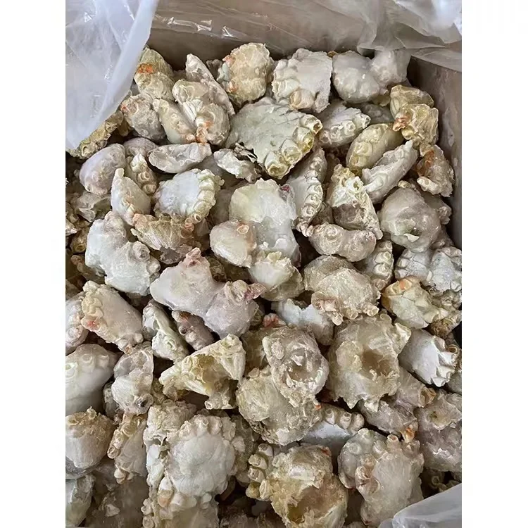 wholesale Frozen cooked Crab body export Japan, Korea, America (703)