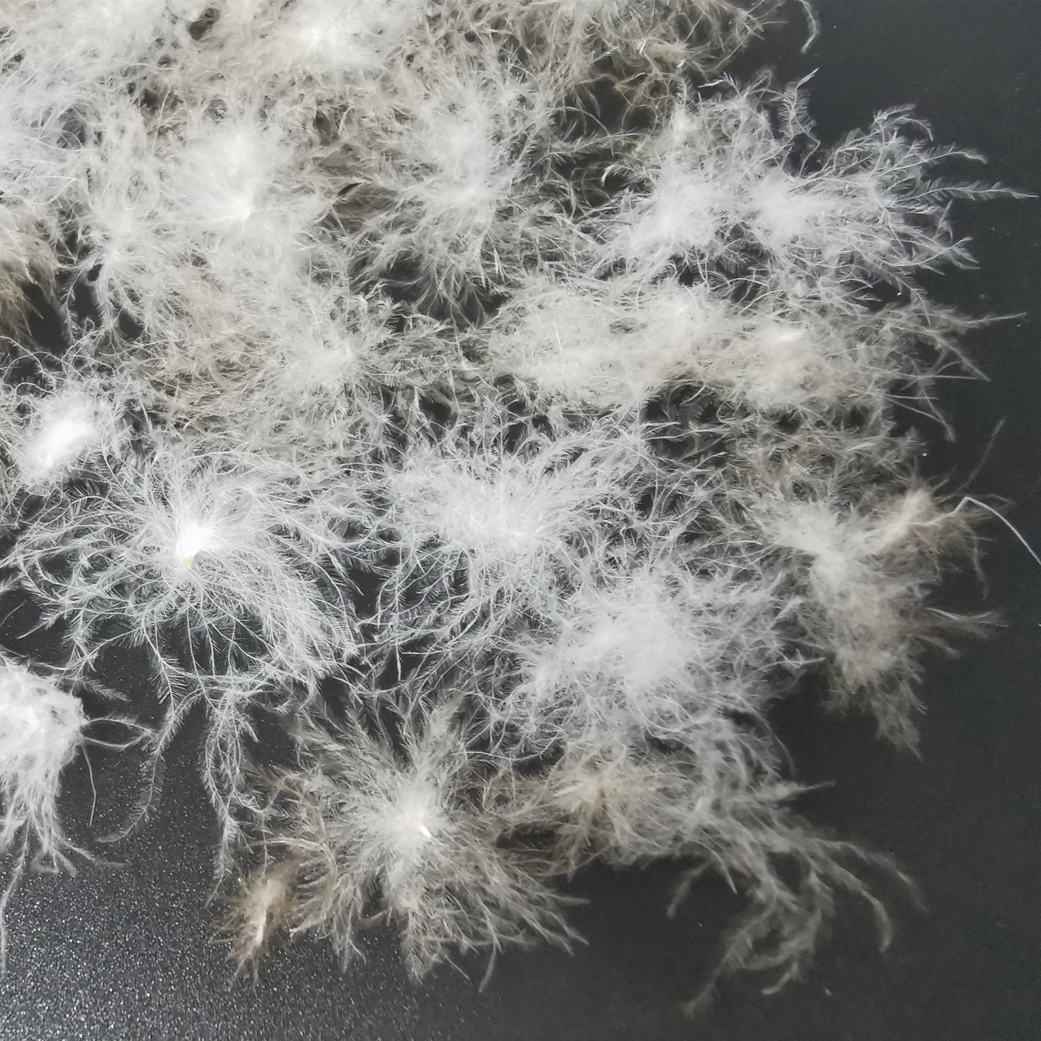 Распродажа 95%, мытый серый мусковый материал, одежда, пуховое перо