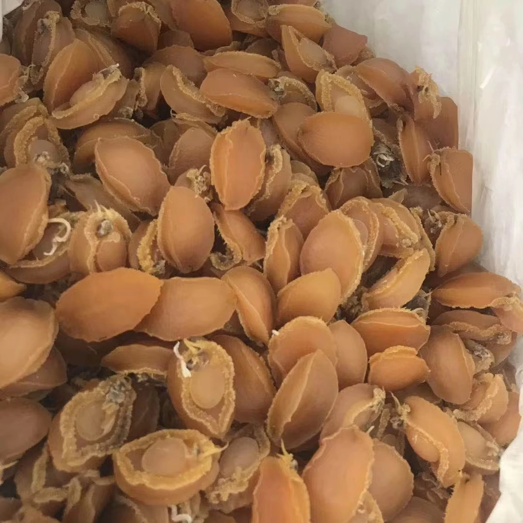 Заводская цена сушеные морепродукты морское ушко мясо 2024 новая переработка сушеная раковина Галиотис