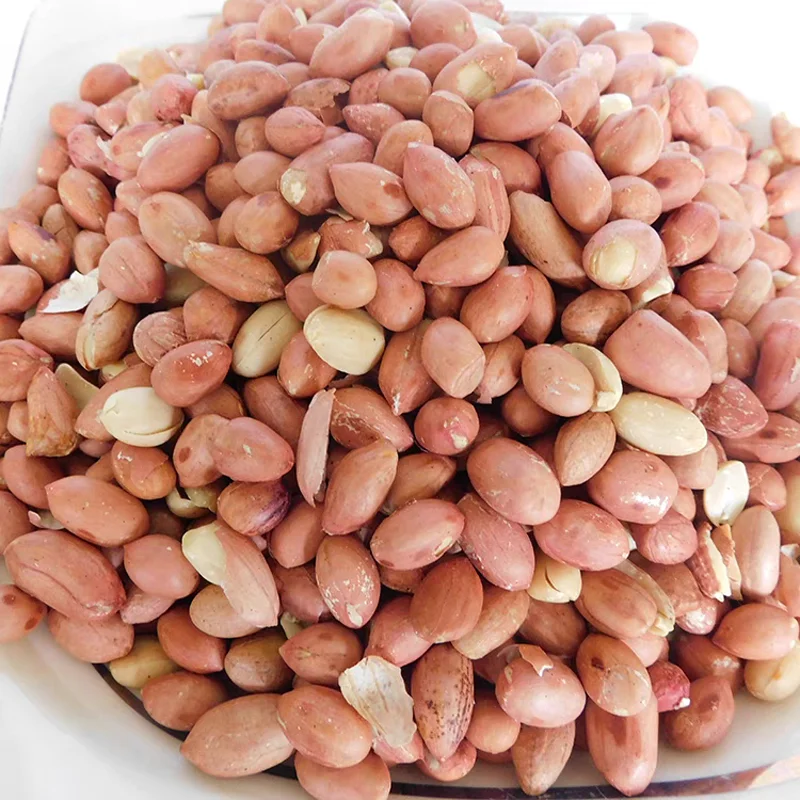 Automatic Sunflower Seeds Roaster Commercial 304 Stainless Steel Widely Used Peanut Roasting Machine