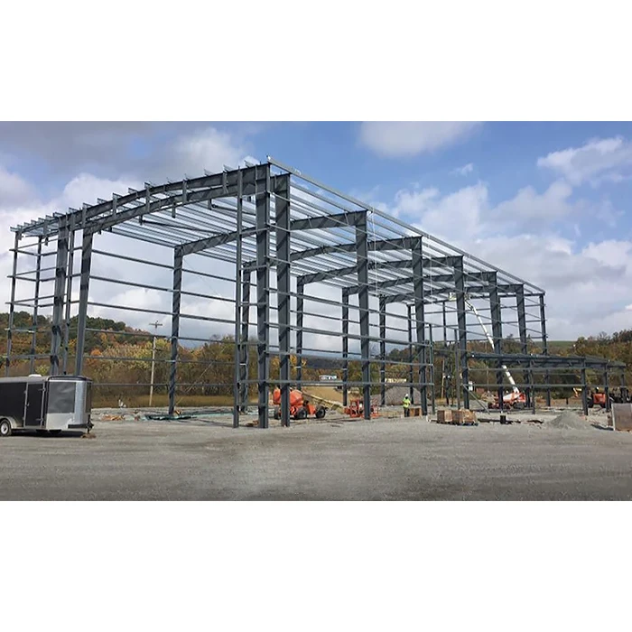 China Top 10 Steel High Quality Steel Structure Garage Shed