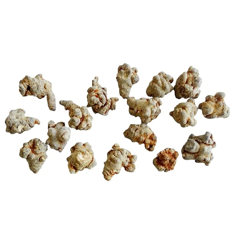 China Factory Wholesale Panax Notoginseng High-quality Medicinal Herbs Healthy Food Dry Panax Notoginseng