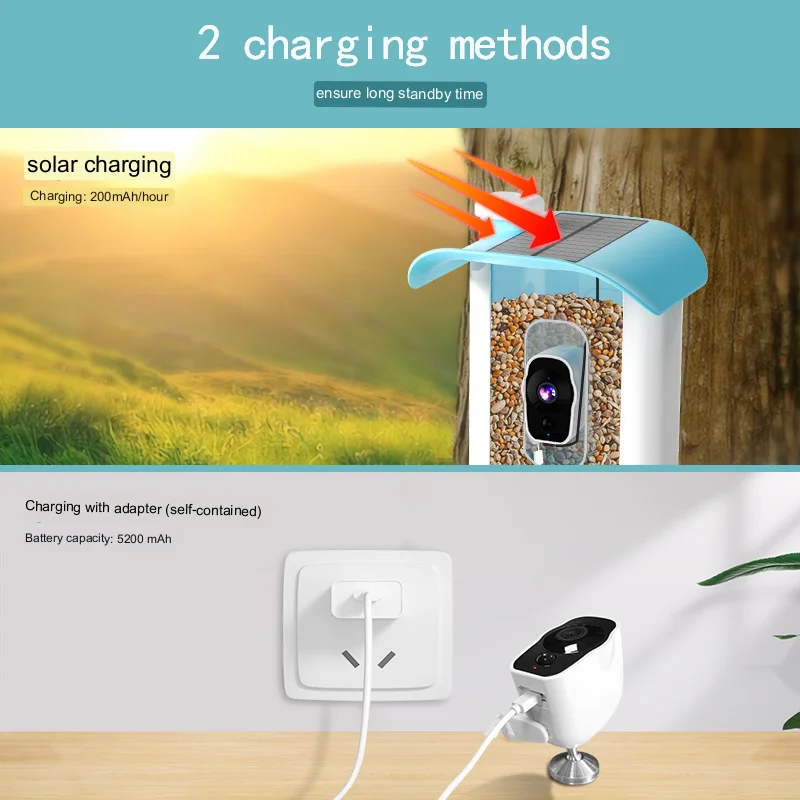 New High quality Solar powered Waterproof IP65 Video Smart Ai Bird Buddy Feeder Camera
