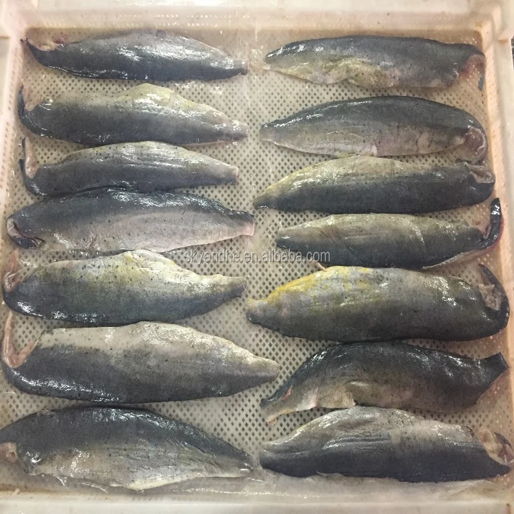 wholesale big size seafood fish 200-250g frozen pacific mackerel raw material block in stock