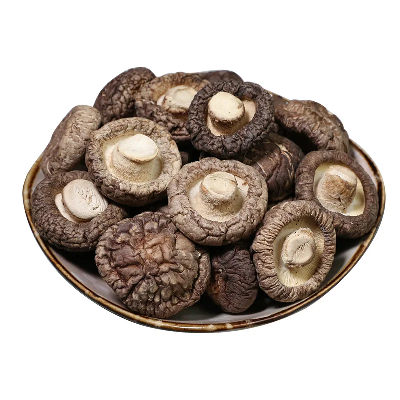
fresh maitake dry dried shiitake shiitake Fungus mushroom 