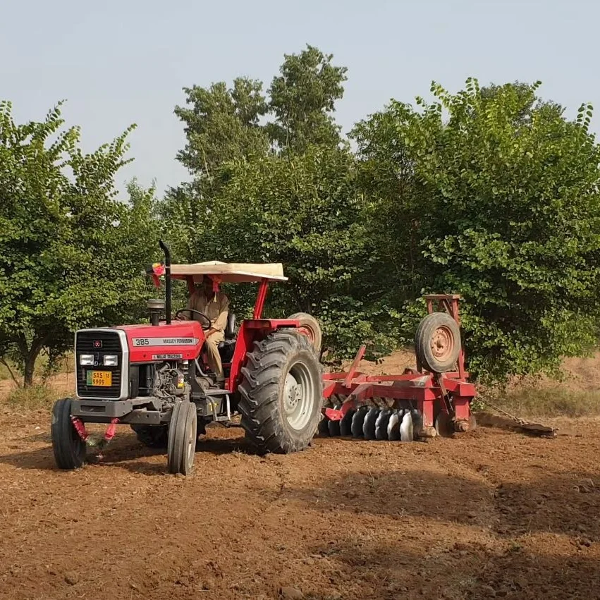 
Offset Disc Harrow, Tractor Mounted Disc Harrow 