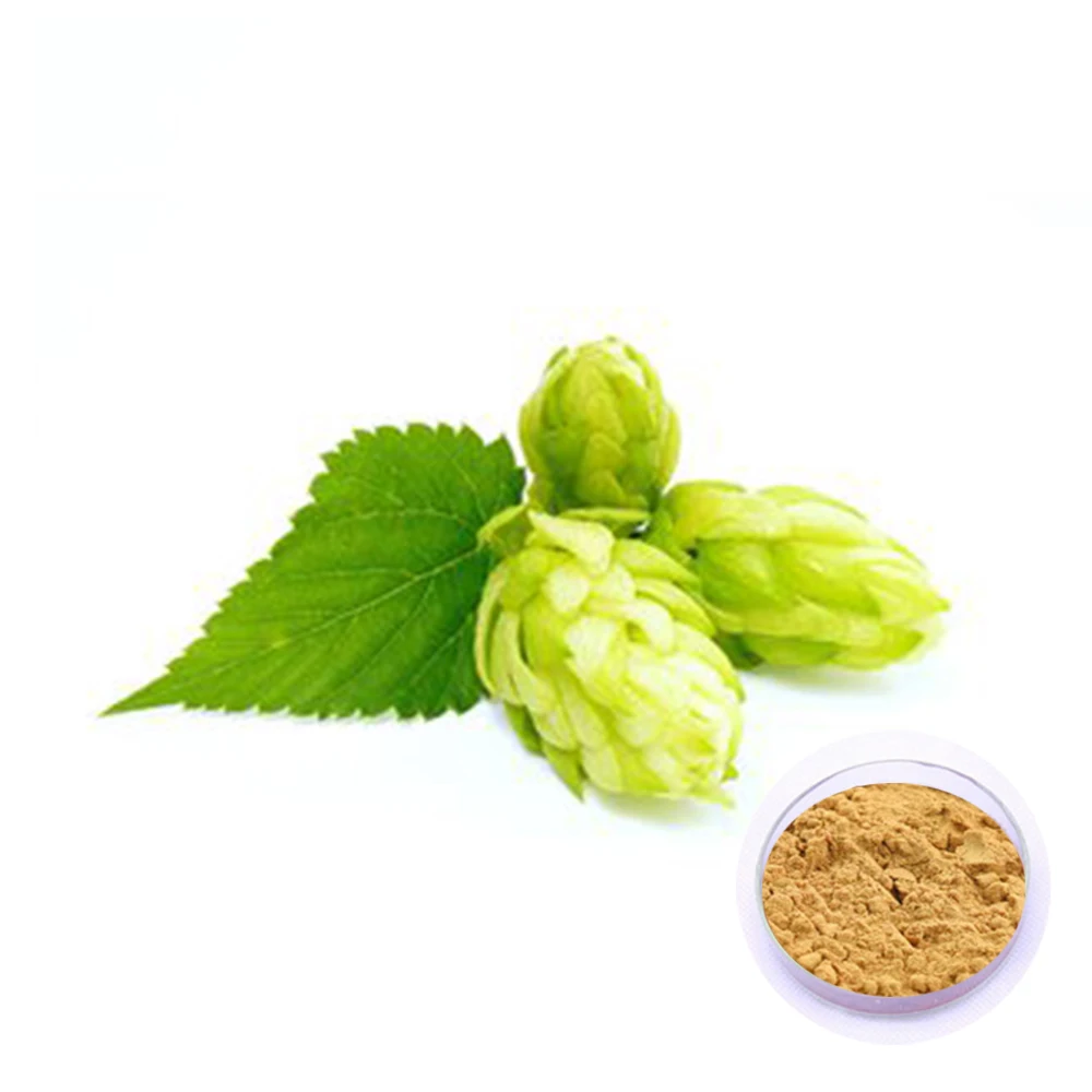 Factory Supply Food Grade Extract Hops Powder