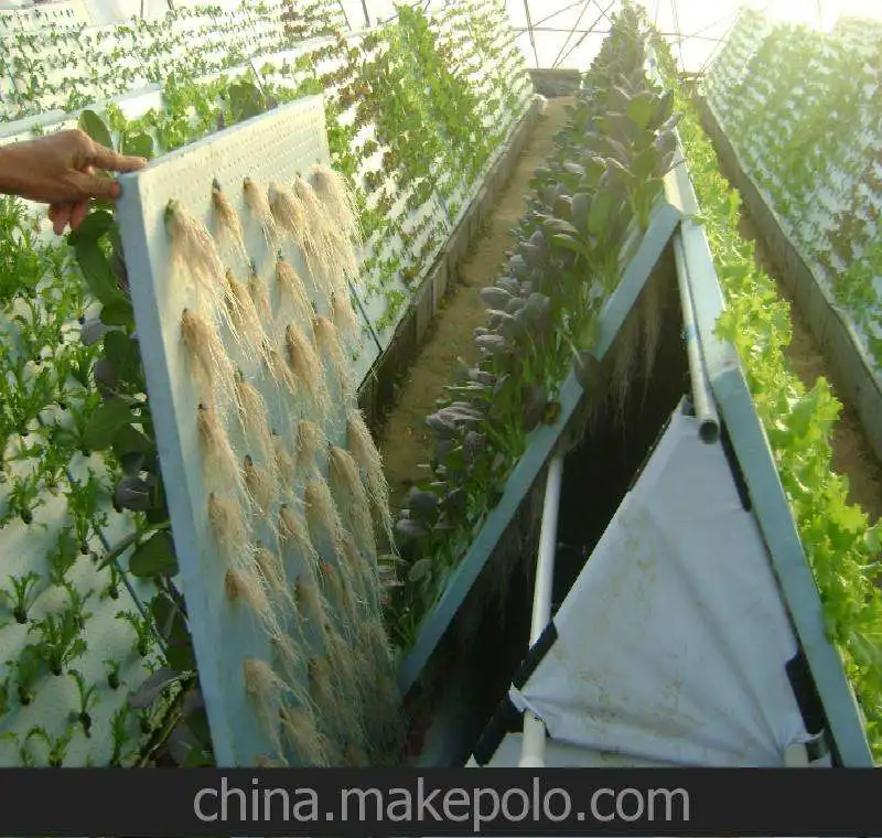 China Modern Agriculture Aeroponics Culture System for Vegetables/Fruits