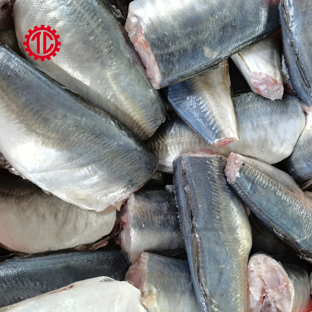 New Arrived Reasonable HGT Frozen Mackerel Fish Canned Price