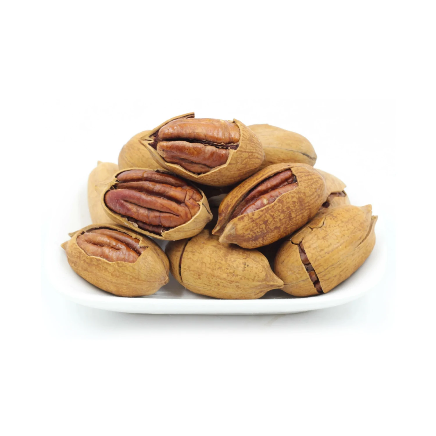 Raw pecans in shell/ Tasty & natural nuts from Uzbekistan/ microelements & A B C D vitamins pecan nuts for food