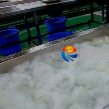 WA-2000 Vegetable And Fruit Washing Machine Bubble Cleaning Machine For Cabbage Lettuce Pepper Washer