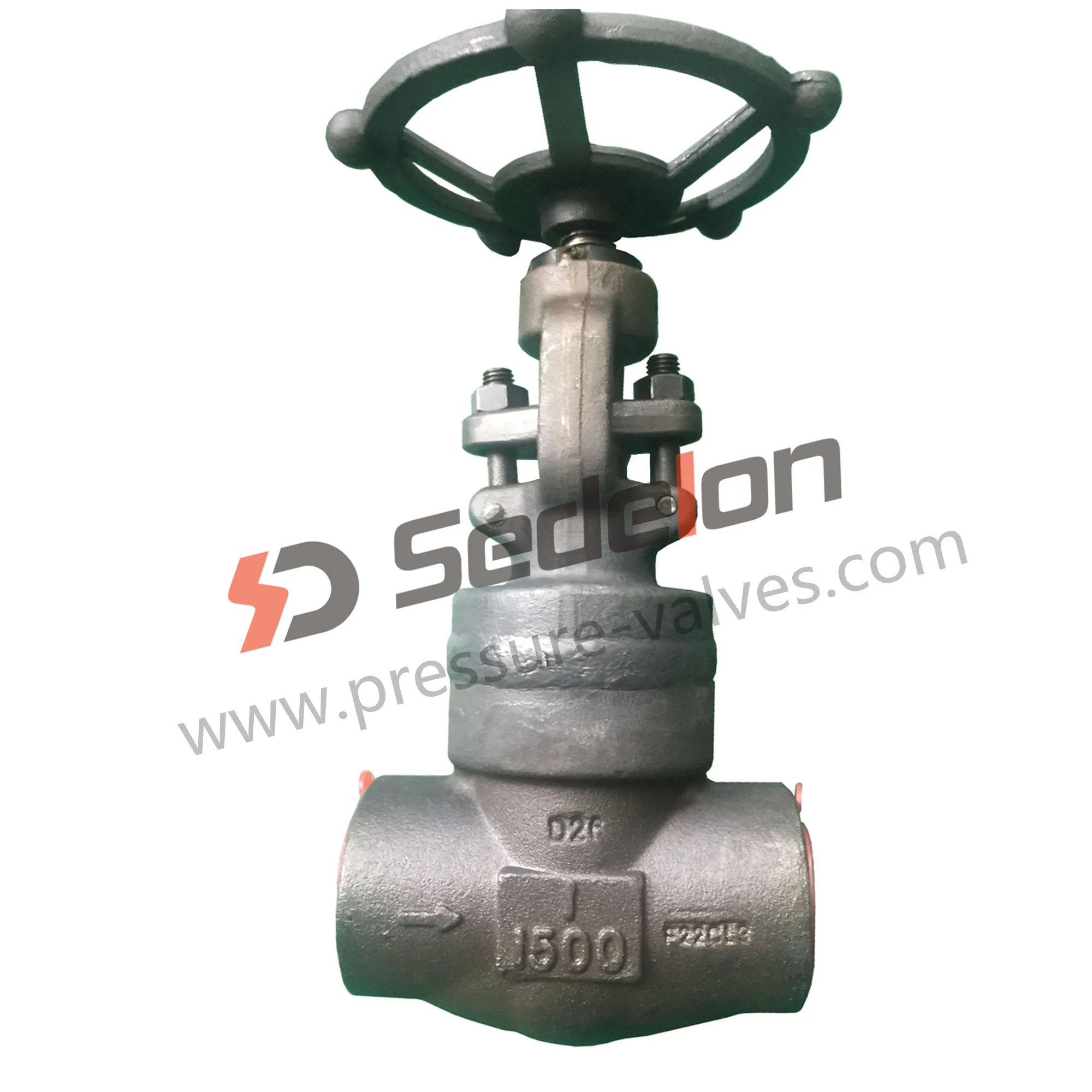 Butt Weld /Socket weld A105N Gate Valves