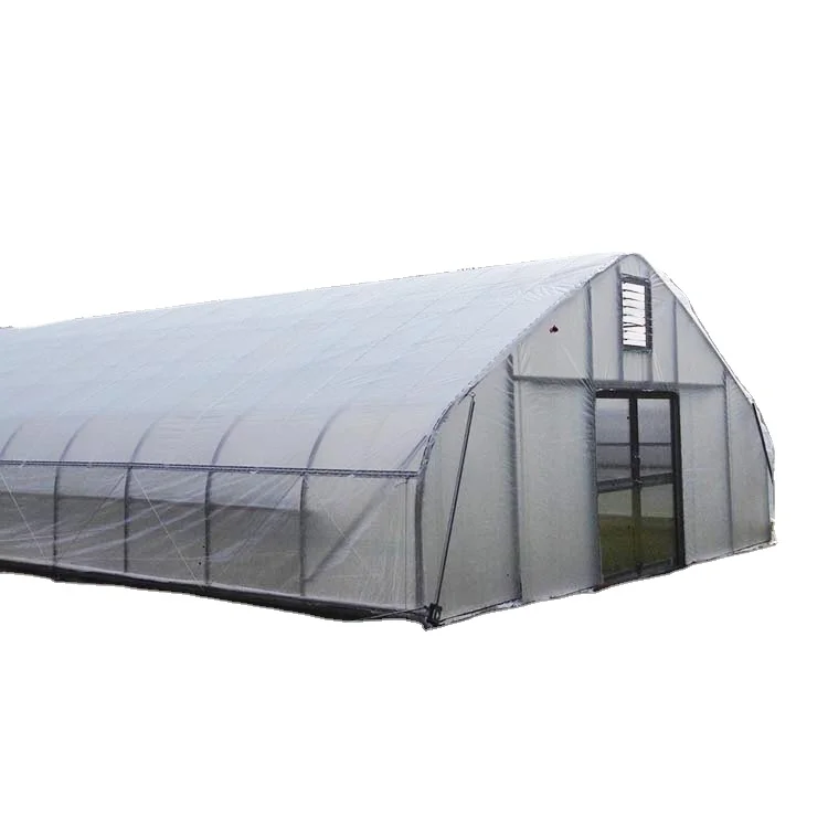 Skyplant Commercial Greenhouse  Low Cost Customized Single Span Plastic Film Greenhouse with Cooling System