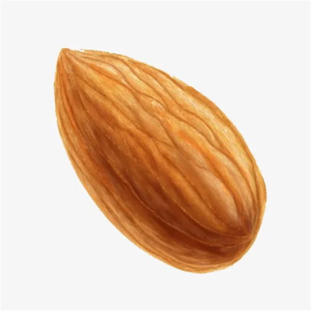 American Almond Nuts Price / Almond Kernel / Almond Wholesale NP25-27