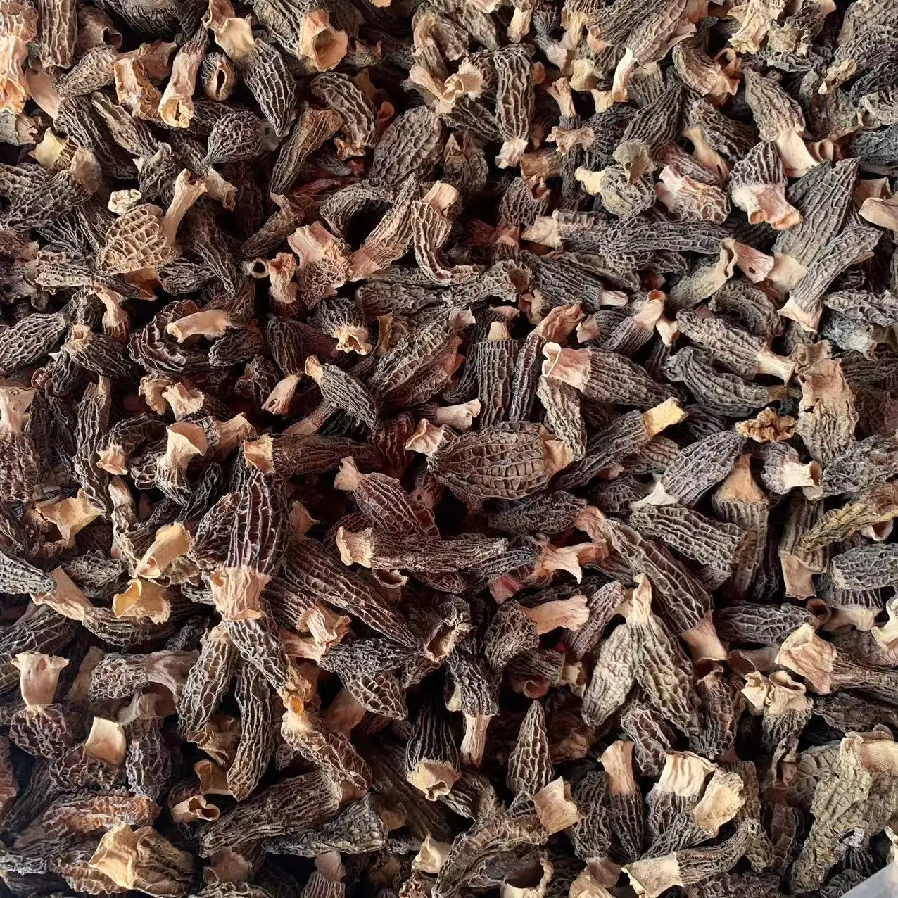 Seasonal New Crop Cutting stems Handle 3-5cm Black Morel mushrooms Yunnan Morchella Mushroom Dried Morel Morchella Mushroom