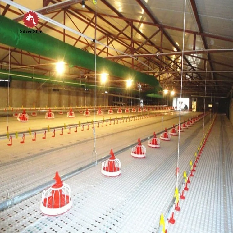 plastic floor system poultry farming broiler raising equipments